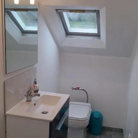 Orman Evi Maison Avec Jardin Arbore