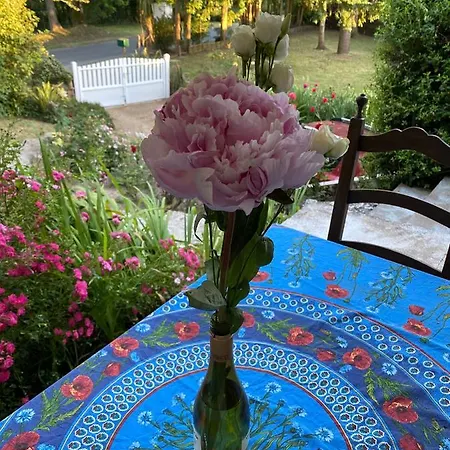 Maison Avec Jardin Arbore